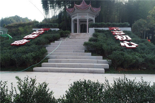 桃花溪革命歷史簡介