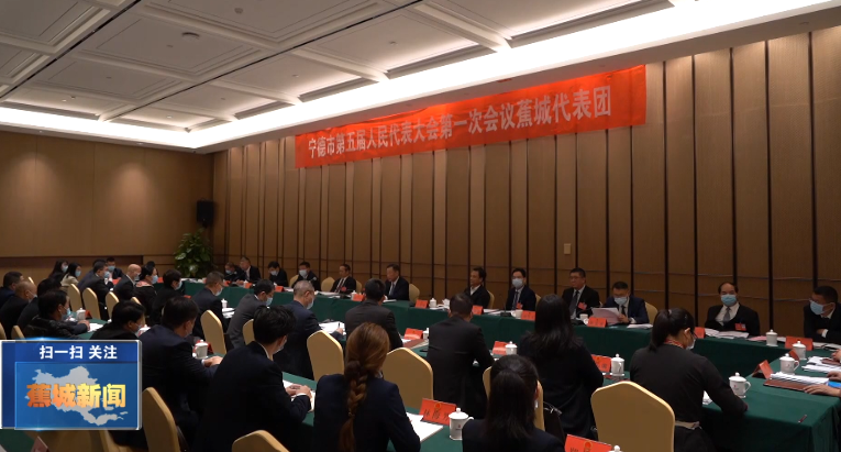 【聚焦市兩會】市領(lǐng)導(dǎo)參加蕉城代表團(tuán)分組審議