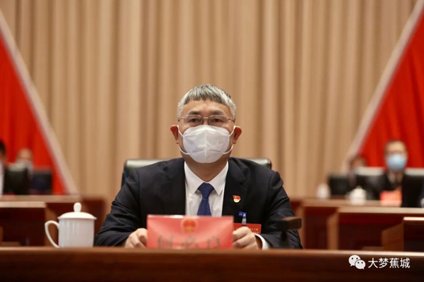 區(qū)委書記何必良