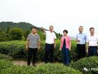 鍛造好基層黨建這把“金鑰匙”！區(qū)領(lǐng)導(dǎo)赴石后鄉(xiāng)調(diào)研基層黨建工作